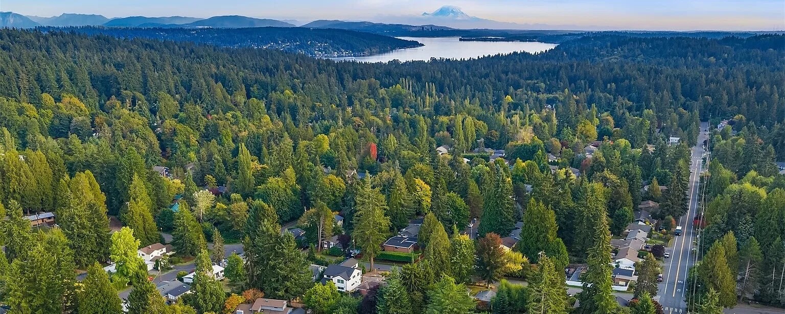 Aerial view of homes among tall evergreens in Lake Forest Park, with Lake Washington and Mount Rainier beyond